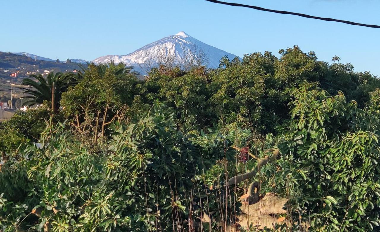 Finca El Trazo Tacoronte Eksteriør billede