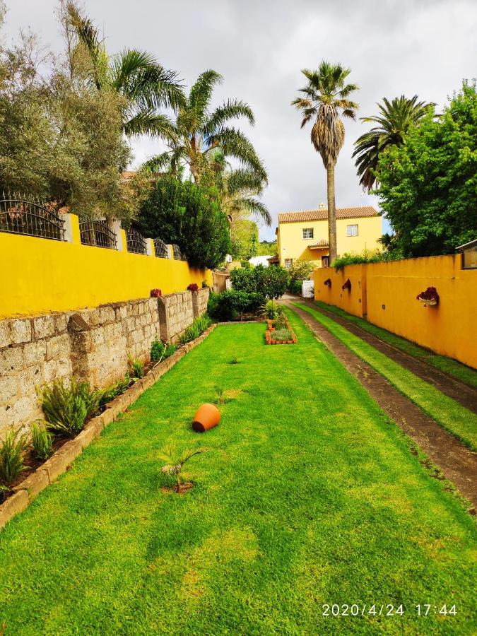 Finca El Trazo Tacoronte Eksteriør billede