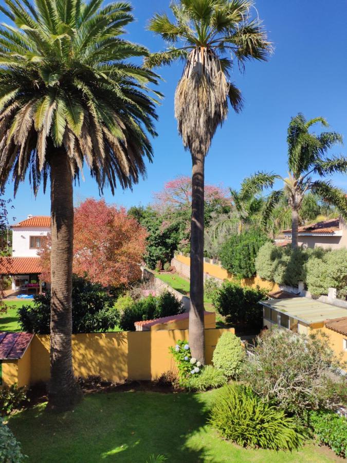Finca El Trazo Tacoronte Eksteriør billede