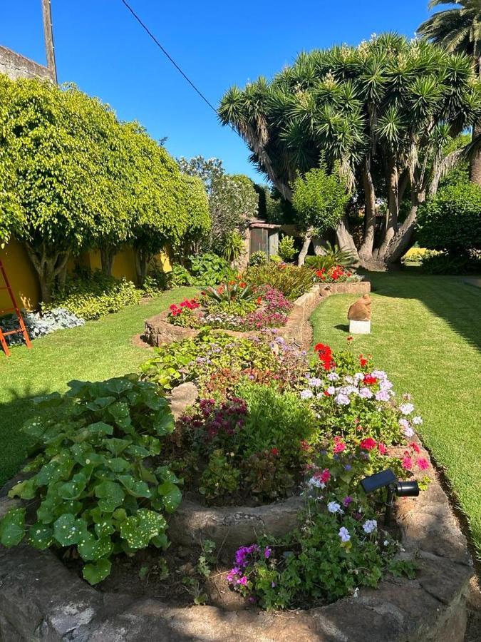Finca El Trazo Tacoronte Eksteriør billede