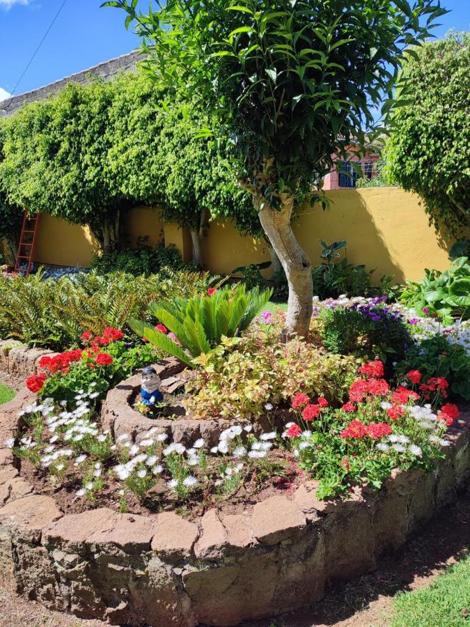 Finca El Trazo Tacoronte Eksteriør billede