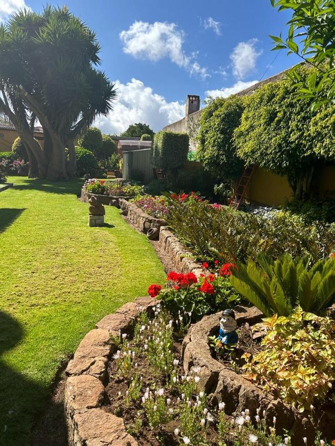 Finca El Trazo Tacoronte Eksteriør billede