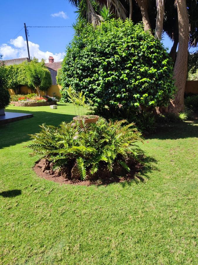 Finca El Trazo Tacoronte Eksteriør billede