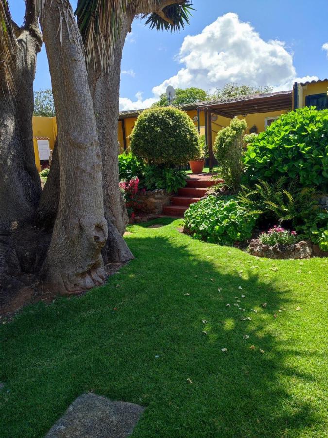 Finca El Trazo Tacoronte Eksteriør billede