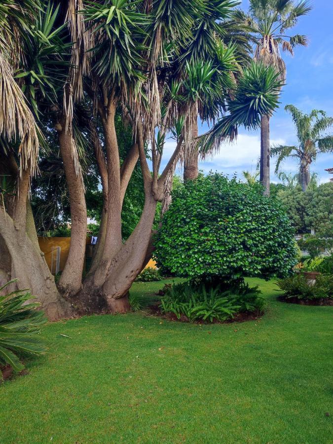Finca El Trazo Tacoronte Eksteriør billede