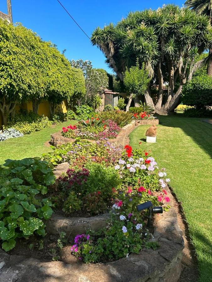 Finca El Trazo Tacoronte Eksteriør billede