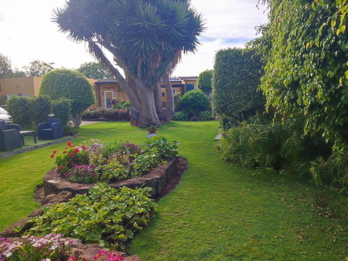 Finca El Trazo Tacoronte Eksteriør billede